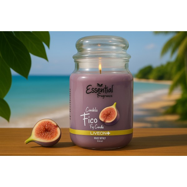 Bougie Parfumée à la Figue