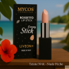 Rouge à lèvres - Stick Crémeux N°01