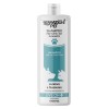 Shampooing Universel Aloe Vera & Vitamine E pour Chiens et Chats