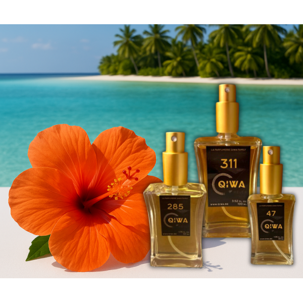 Flacon Luxueux Elégant Homme - 50 ML